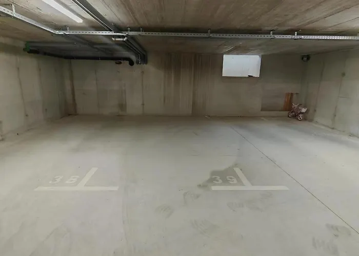Z&z Apartament
